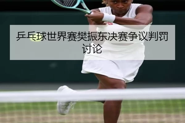 ping-pang-qiu-shi-jie-sai-fan-zhen-dong-jue-sai-zheng-yi-pan-fa-tao-lun-1-435.jpg