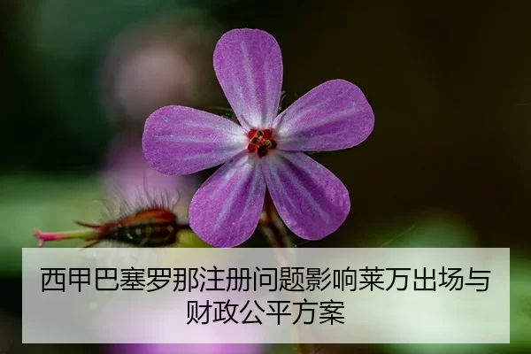 xi-jia-ba-sai-luo-na-zhu-ce-wen-ti-ying-xiang-lai-wan-chu-chang-yu-cai-zheng-gong-ping-fang-an-1-512.jpg
